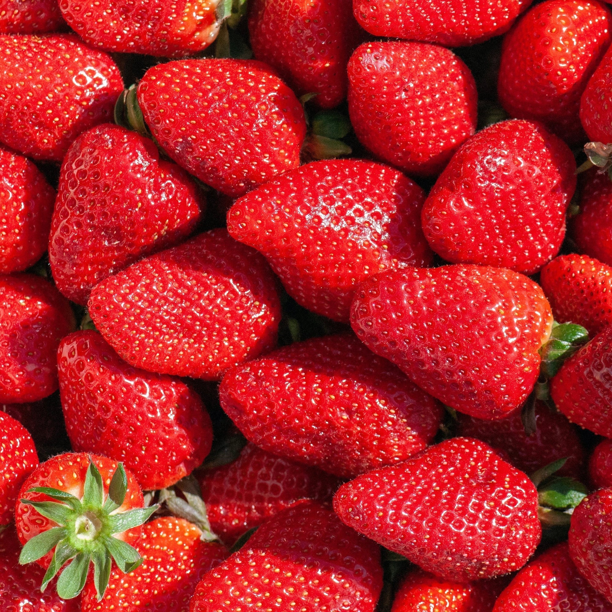 Strawberry Cold Foam Iced Latte